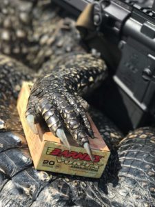 Barnes bullets for Gator hunt