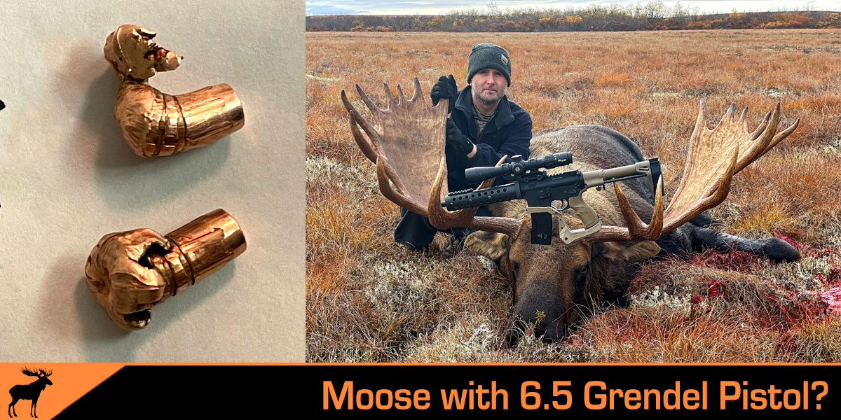 Short Barrel, Big Game – Moose with a 6.5 Grendel Pistol?