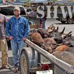 What Would You Do for a Shot at a $28K Hog Hunt Purse?