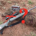 Can You See Me Now? Why Expensive Optics Go Well With Today’s Bargain-Priced Rifles