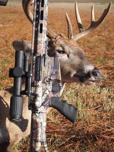 VCOG Deer Kill