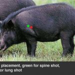 How to Kill and Recover a Hog