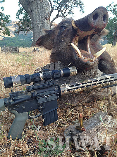 450 Bushmaster Dead Hog