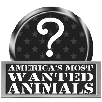 SHWAT Most Wanted Animals