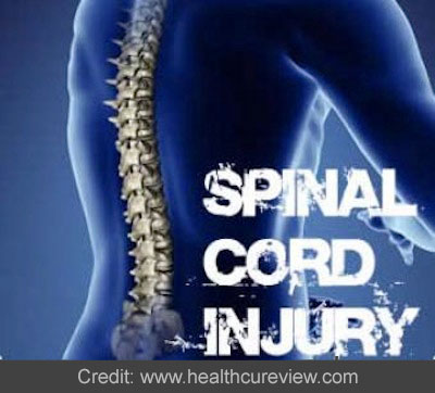 Spinal Cord Injuries