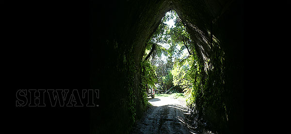 New Zealand Forgotten World Tunnel