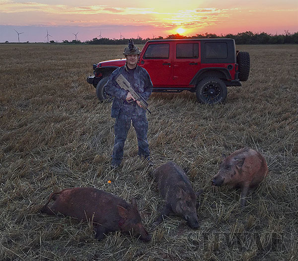 Hog Hunting with Tavor X95